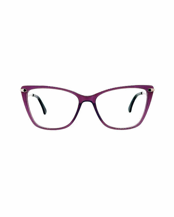 Оправа для очков Santarelli 2135 203