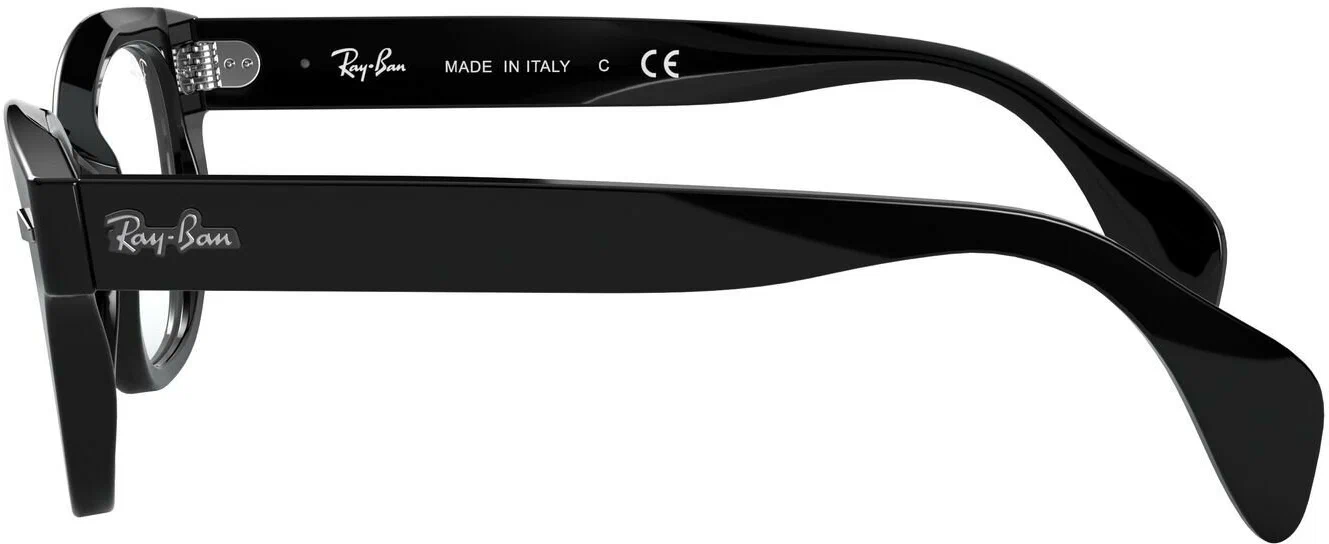 Оправа для очков Ray-Ban RX 0880 2000