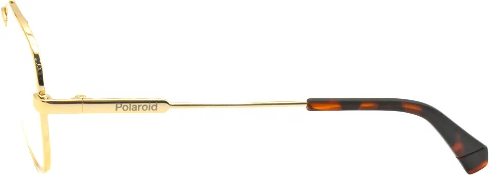 Оправа Polaroid PLD D828 J5G