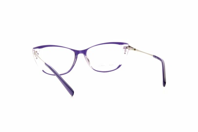 Оправа для очков PIERRE CARDIN 8505 RY8